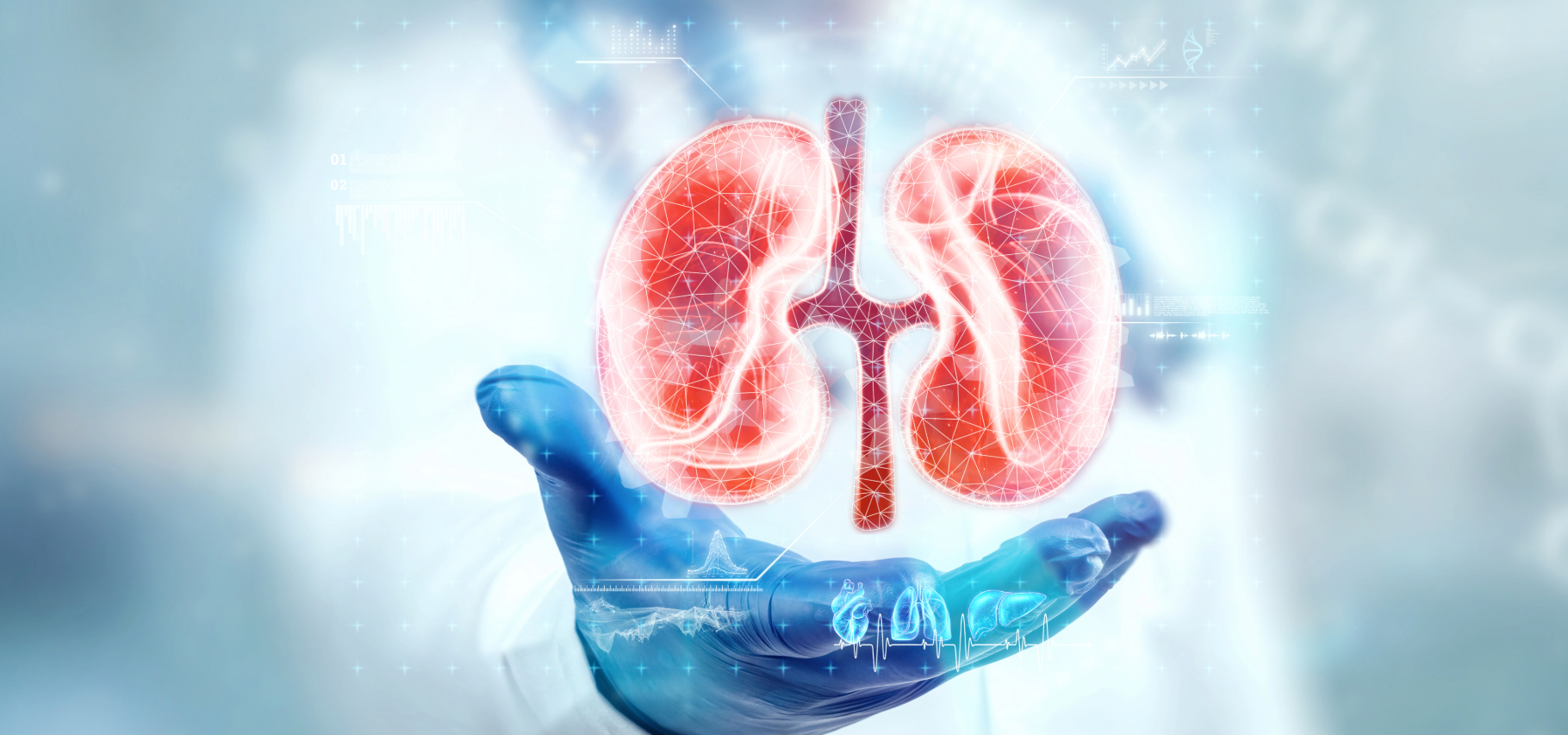 New CMS Model Boosts Kidney Transplants